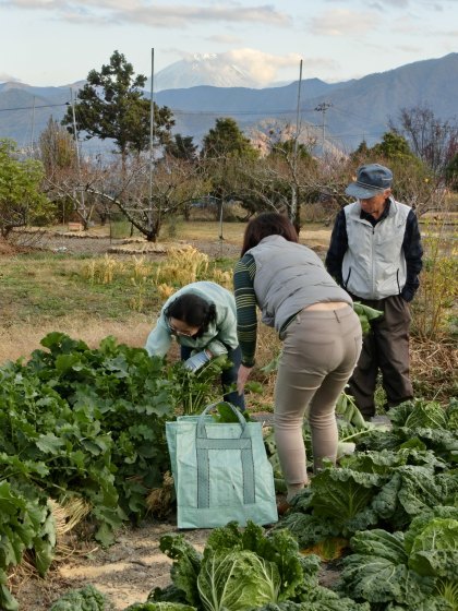 11/22～25、伊豆・山梨旅行、その6：山梨「大柳川渓谷」→クラフトパーク→帰宅_e0045768_22013136.jpg