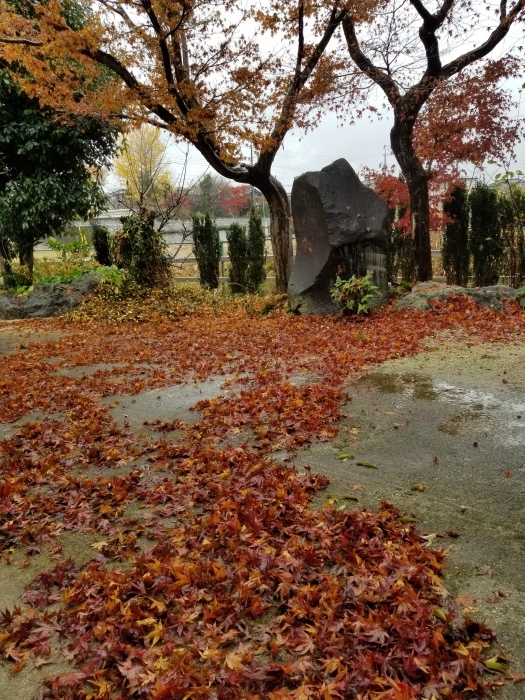 絵本カフェ短歌 紅葉散る なんだかうれしい 絵本カフェ短歌 紅葉散る なんだかうれしい