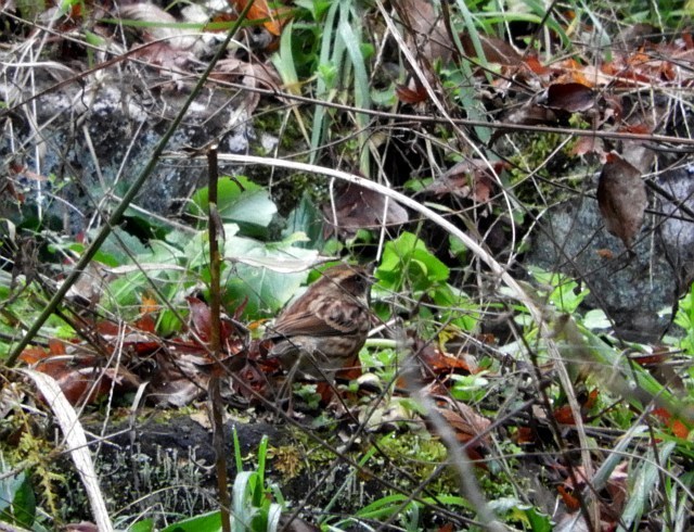 f0378979_19141203.jpg