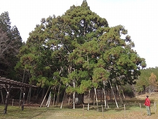 岩村観光（城址は東洋のマチュピチュ！）_e0064783_14181326.jpg