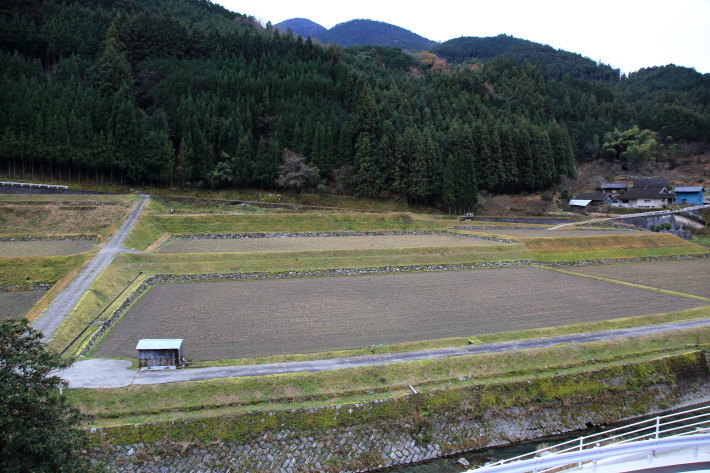 c0358784_21333308.jpg