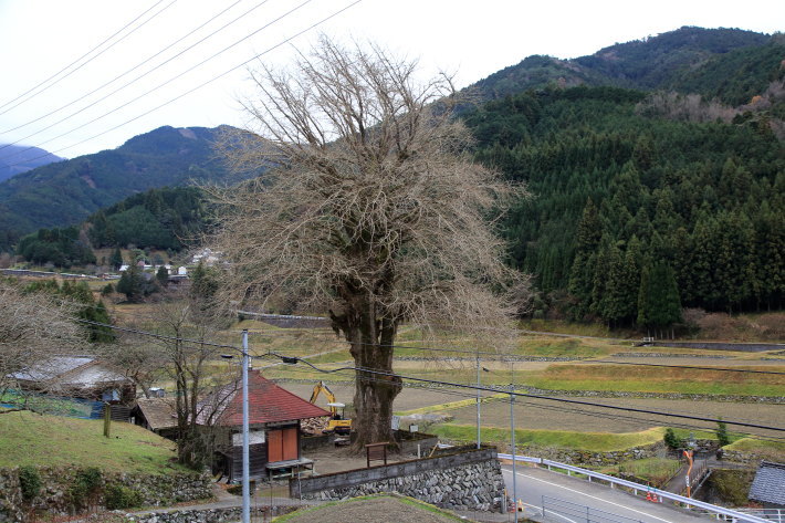 c0358784_21335902.jpg