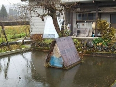 f0017185_22164247.jpg