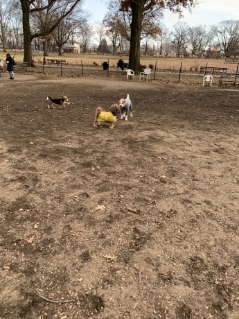 c0253487_00555741.jpg