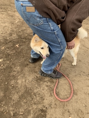 男子がわらわらとくるおちり_c0253487_01000282.jpg