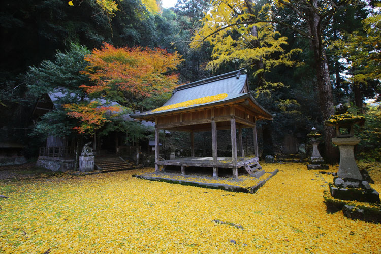 岩戸落葉神社_e0051888_05272069.jpg