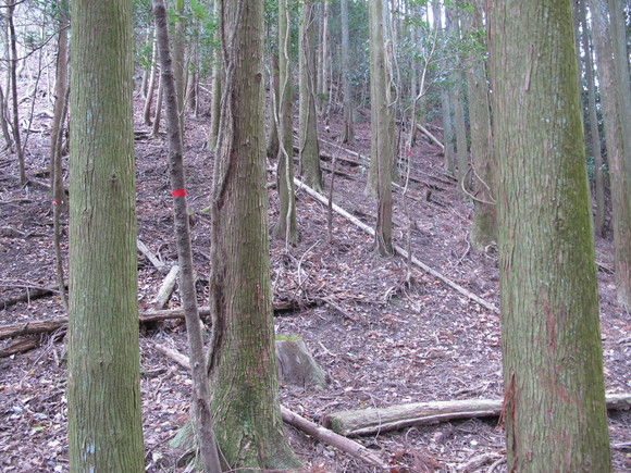 a0166196_111014100.jpg