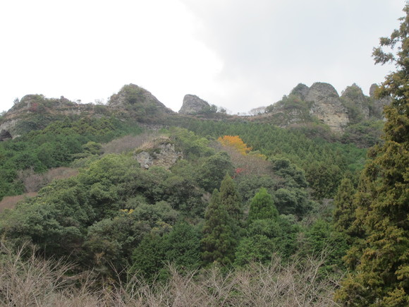 a0166196_1112149.jpg