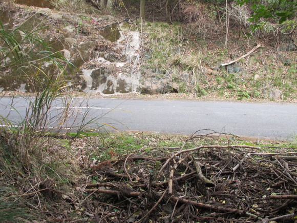a0166196_1113265.jpg