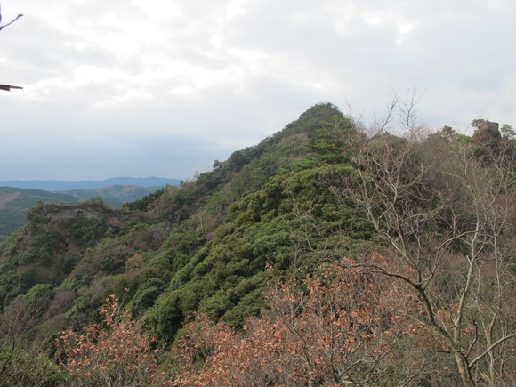a0166196_1134396.jpg