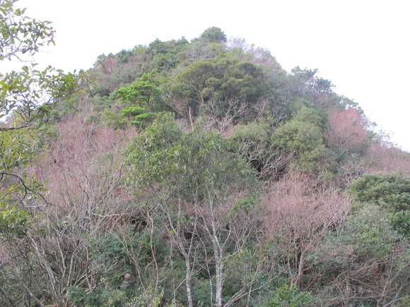 a0166196_1153612.jpg