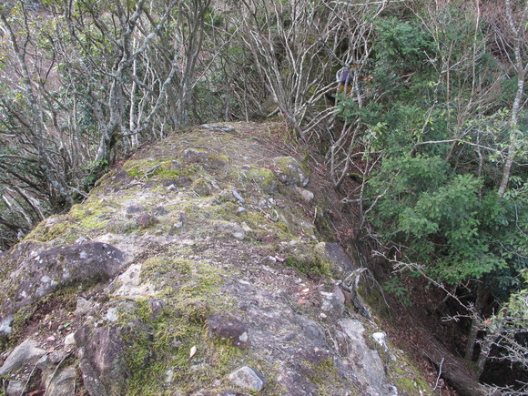 a0166196_117599.jpg