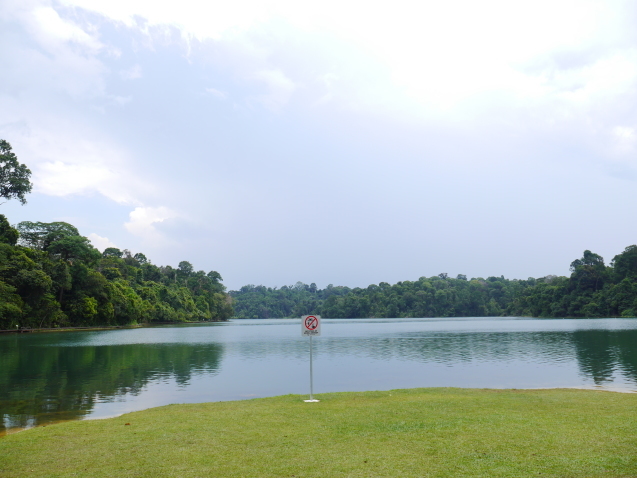 f0343001_23242264.jpg