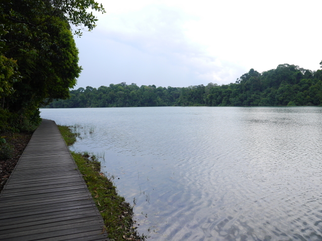 f0343001_23295014.jpg