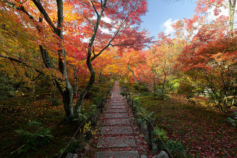 2018京都の紅葉・嵯峨野 宝筐院 其の一_f0032011_20500083.jpg