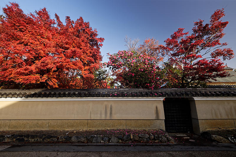 2018京都の紅葉・嵯峨野 宝筐院 其の一_f0032011_20542803.jpg
