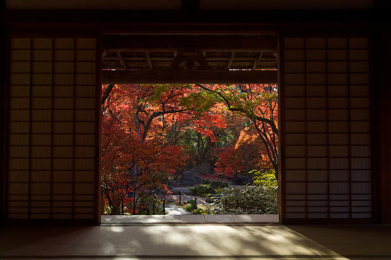 2018京都の紅葉・嵯峨野 宝筐院 其の一_f0032011_21271951.jpg