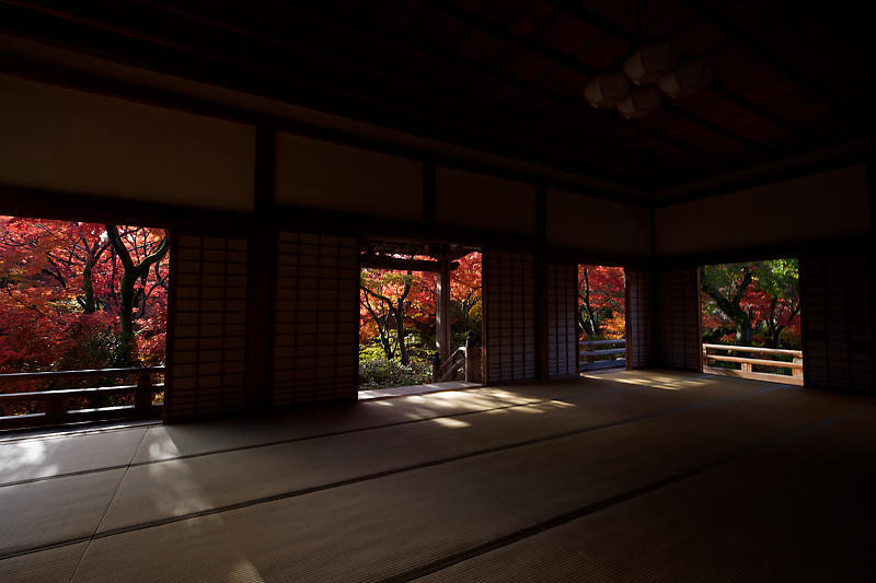 2018京都の紅葉・嵯峨野 宝筐院 其の一_f0032011_21271987.jpg