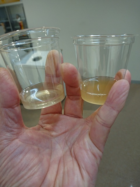 f0100911_21221580.jpg