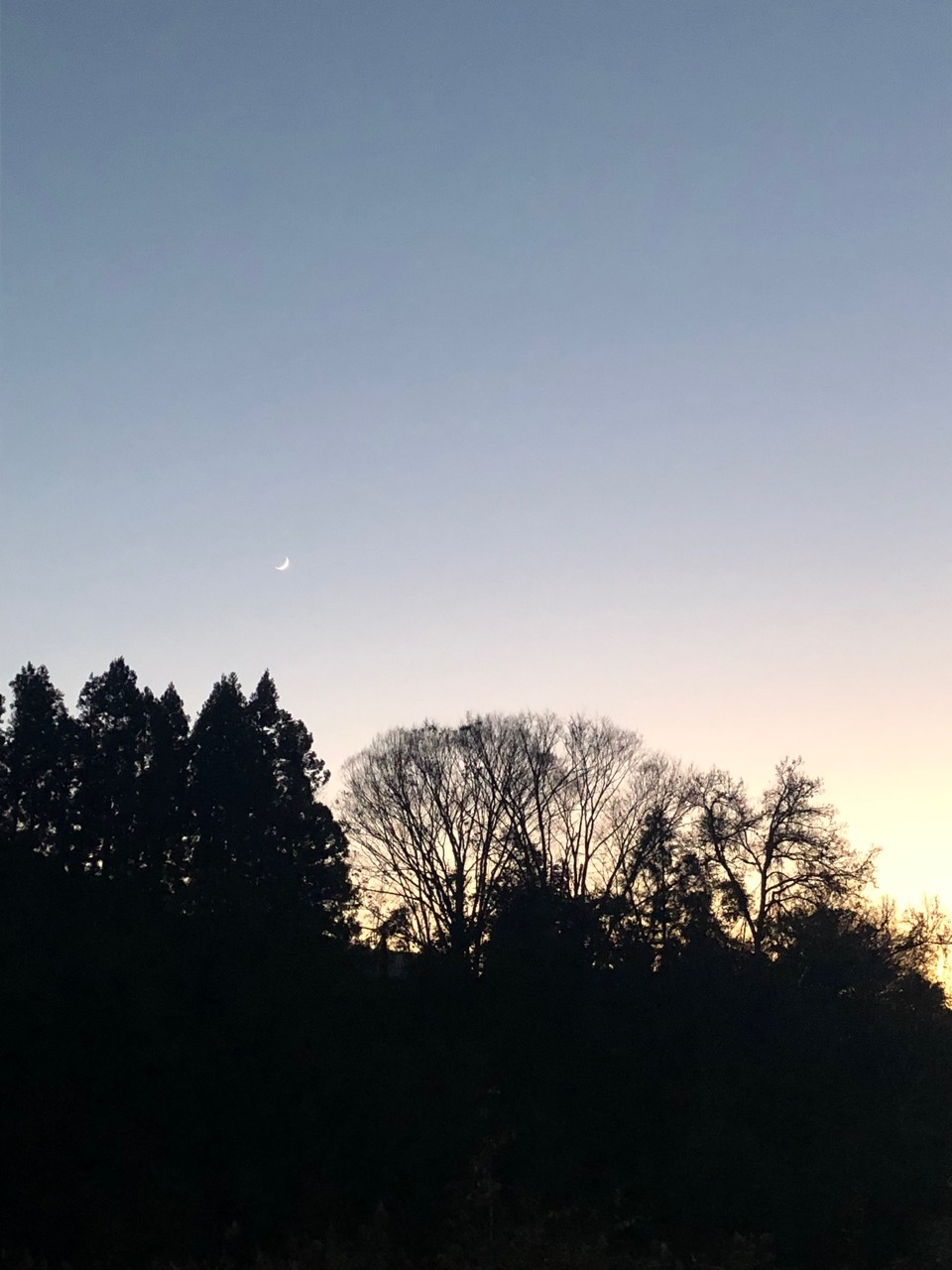 f0202211_22015566.jpg
