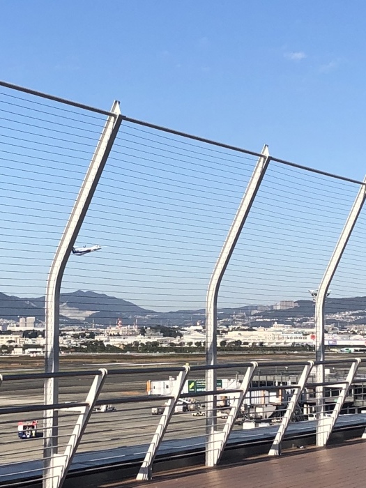 b0163114_20403110.jpeg