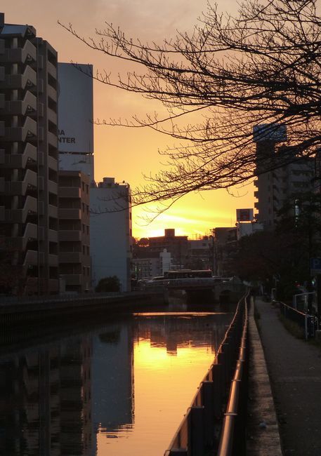 横浜駅　西口界隈　点描_c0111518_04204520.jpg