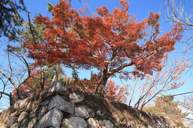 e0321325_16223260.jpg