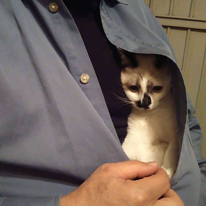 ひとつひとつが運命かと・・・_c0155326_22232098.jpg