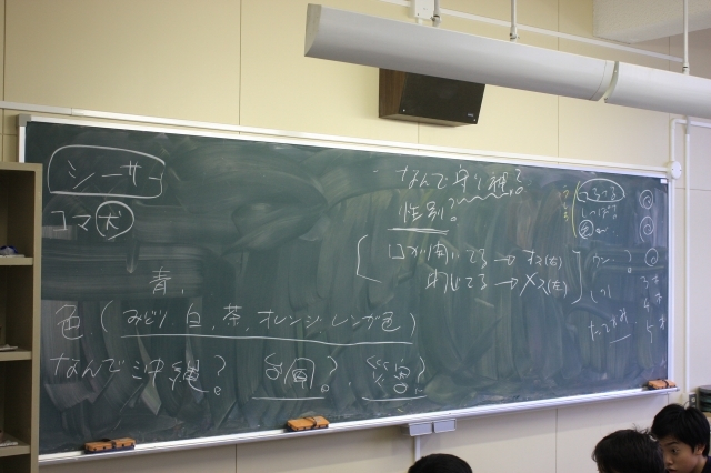 a0062127_07201468.jpg
