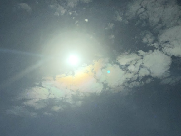 b0164428_14303731.jpeg