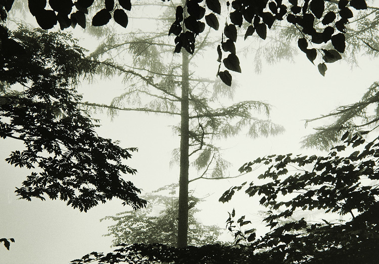 c0381632_14021787.jpg