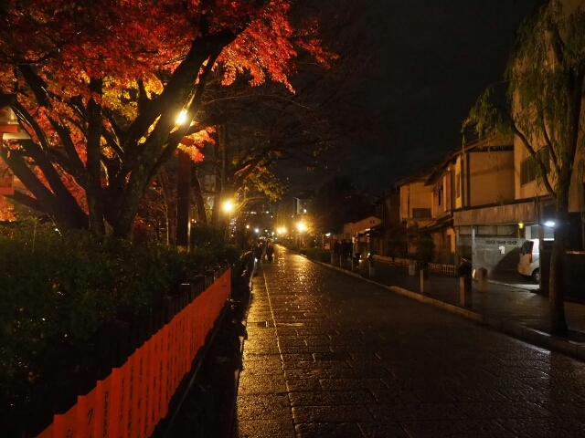 祇園白川のライトアップ紅葉♪_f0295238_00010089.jpg