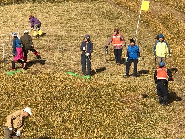 e0371039_1413615.gif