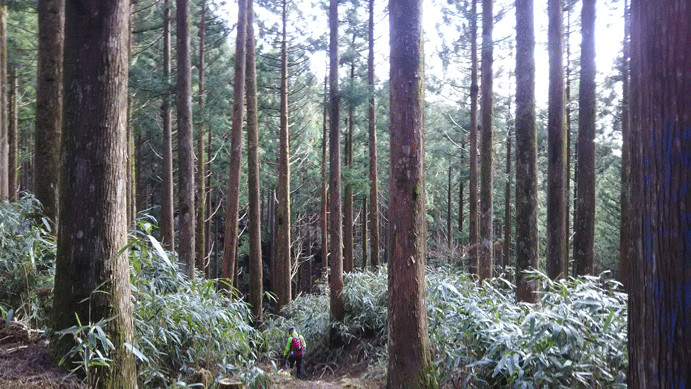 e0371039_1501366.gif