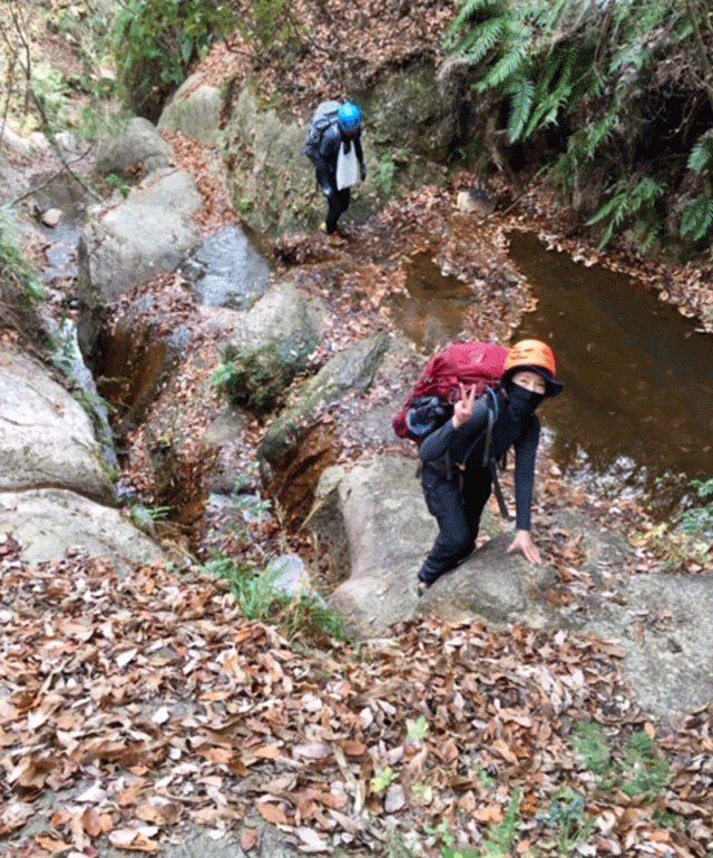 e0371039_151413.gif