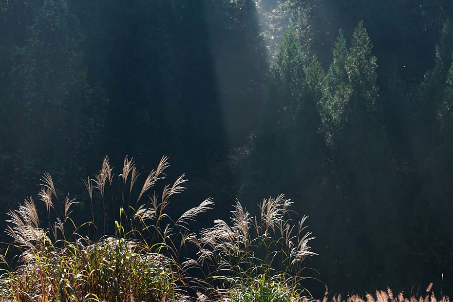 c0067040_22205934.jpg