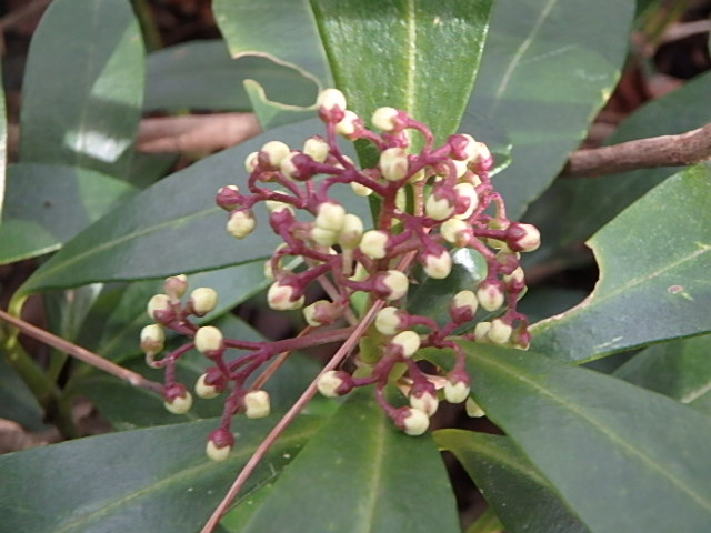 f0334143_7521328.jpg