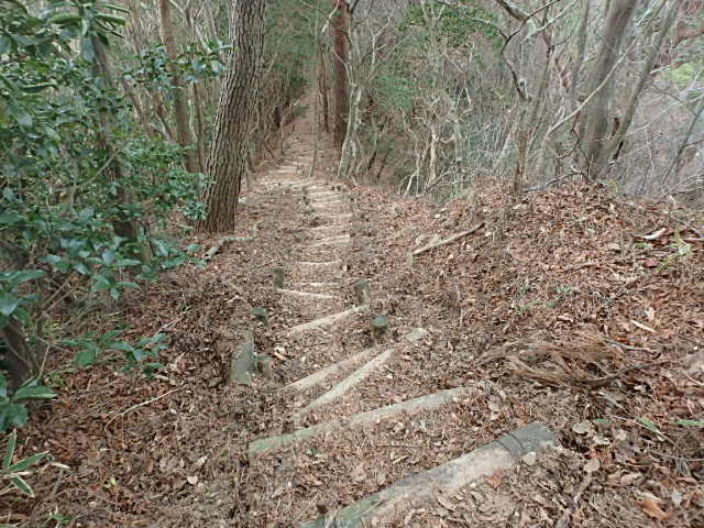 f0334143_8235048.jpg