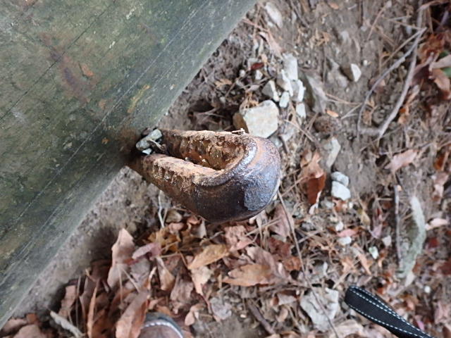 f0334143_8265048.jpg