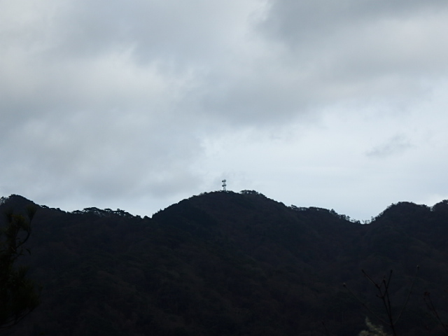 f0334143_83243100.jpg