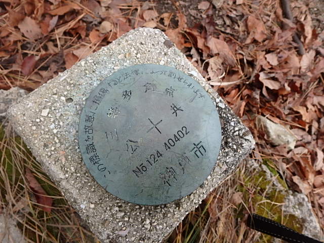 f0334143_832844.jpg