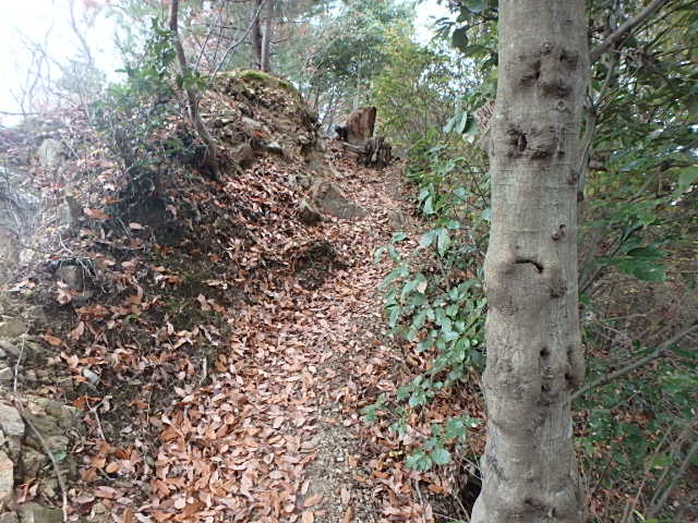 f0334143_8332618.jpg