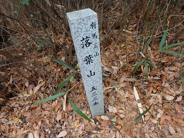 f0334143_8345789.jpg