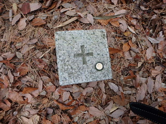 f0334143_8351188.jpg