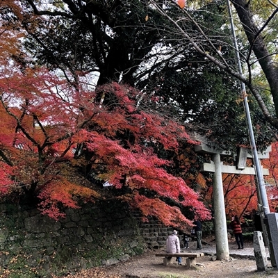 c0323244_02381842.jpg