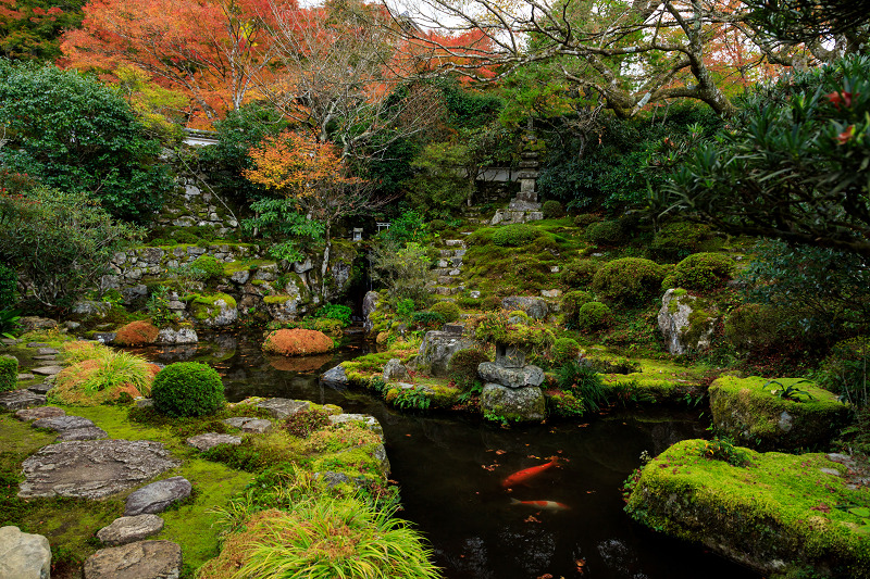 京の紅葉2018　紅葉と桜と（大原・実光院）_f0155048_2221134.jpg