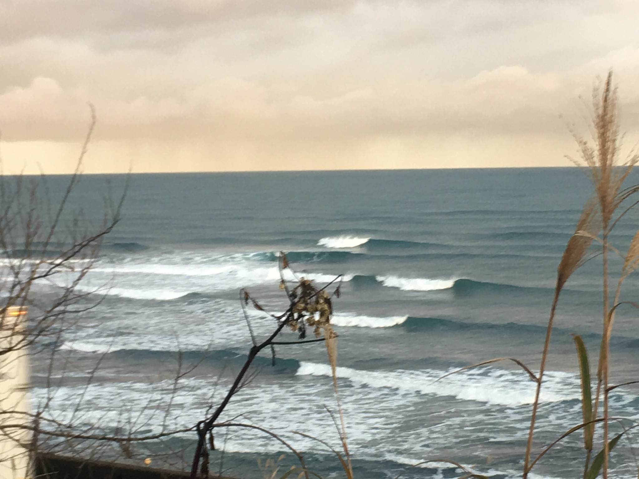 c0254151_20433214.jpeg