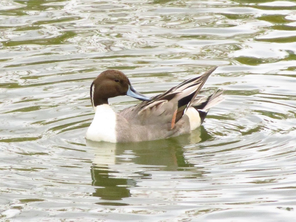 a0018655_09211926.jpg