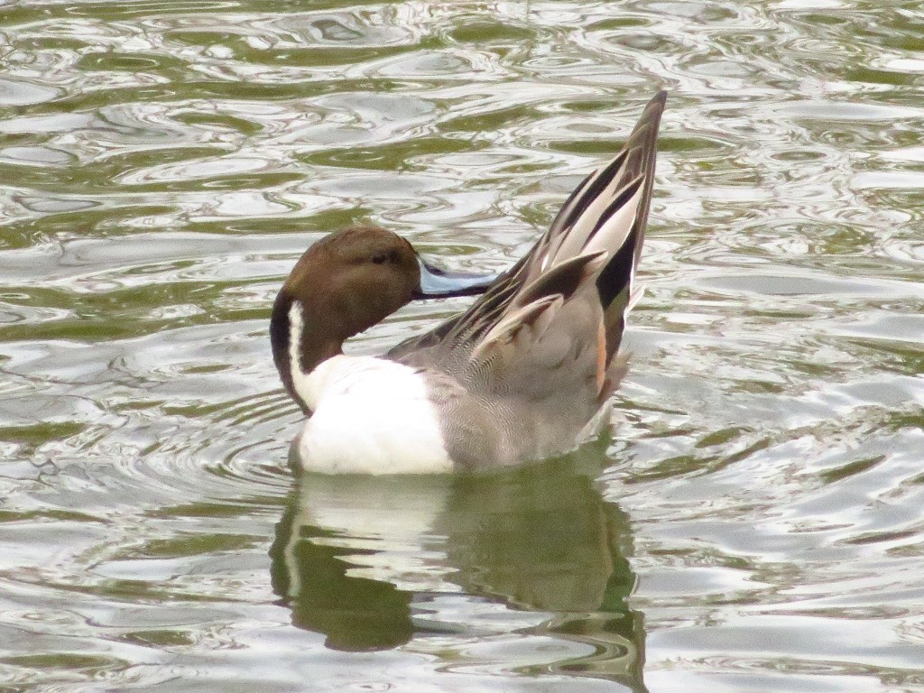 a0018655_09212003.jpg