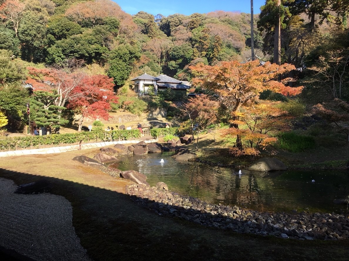 b0145863_11295902.jpeg